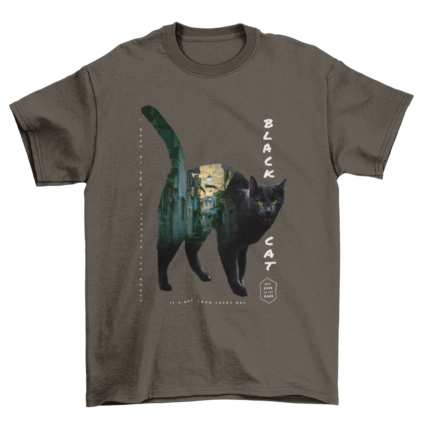 Incredible Black Pet Kitty Cat Street city double exposure effect